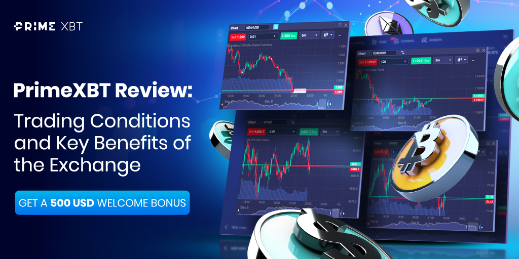 PrimeXBT vs Pocket Option A Comprehensive Comparison for Traders